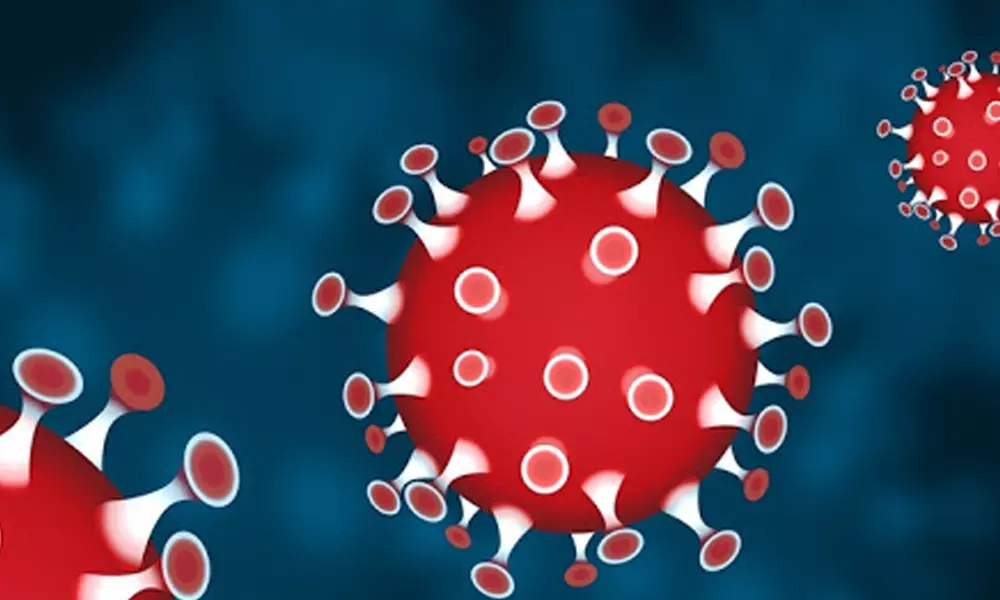 സംസ്ഥാനത്ത് ഇന്ന് 8778 പേര്‍ക്ക് കോവിഡ്