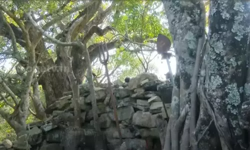 വീരപ്പൻ വേട്ടയിൽ അനാഥമായ അണക്കാട് ഊരിന്‍റെ ഉള്ളറകൾ