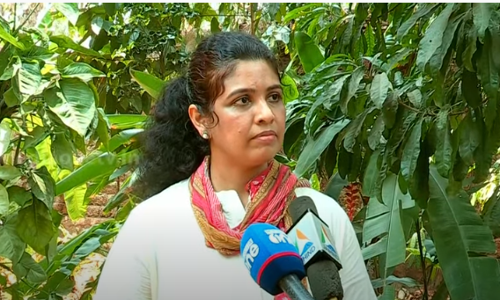 നിയമന വിവാദത്തിൽ തന്നെ വ്യക്തിപരമായി വേട്ടയാടുകയാണെന്ന് ഷംസീറിന്‍റെ  ഭാര്യ ഷഹല