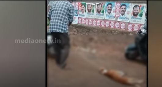 മലപ്പുറത്ത് നായയെ ബൈക്കിൽ കെട്ടി വലിച്ചയാളെ അറസ്റ്റ് ചെയ്തു