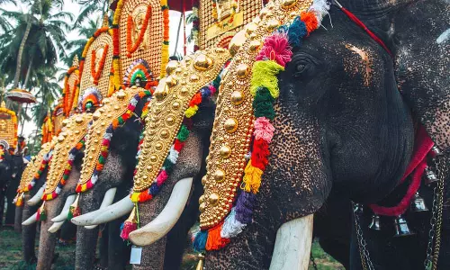 തൃശൂർ പൂരം പ്രതീകാത്മകമായി നടത്തും: ഒരു ഘടക ക്ഷേത്രത്തിൽ 50 പേർ മാത്രം