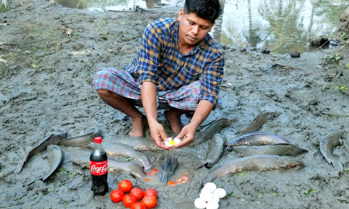 മീന്‍ പിടിക്കാന്‍ കോളയും തക്കാളിയും മുട്ടയും: ട്രെന്‍ഡിംഗില്‍ ഒന്നാമതെത്തി പൊളിച്ചടുക്കല്‍ വീഡിയോ