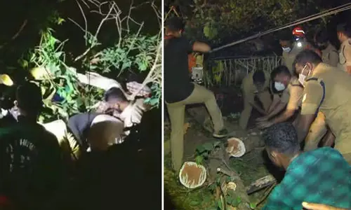 തൃശൂര്‍ പൂരം: വെടിക്കെട്ട് ഉപേക്ഷിച്ചു, പകല്‍പ്പൂരം ചടങ്ങ് മാത്രമാകും