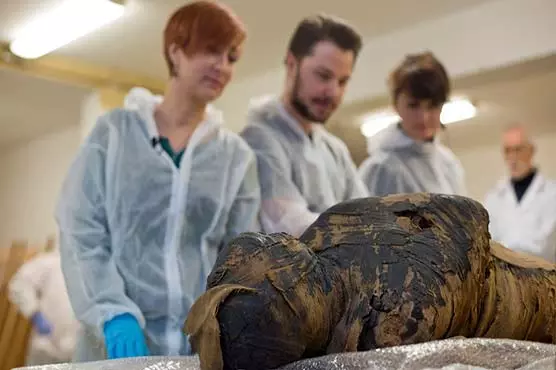 പരിശോധനയ്ക്കെടുക്കുമ്പോള് ഈജിപ്ഷ്യൻ പുരോഹിതന്റെ മമ്മി; ഒടുവില് ഗർഭിണി! പരിശോധനയ്ക്കെടുക്കുമ്പോള് ഈജിപ്ഷ്യൻ പുരോഹിതന്റെ മമ്മി; ഒടുവില് ഗർഭിണി!