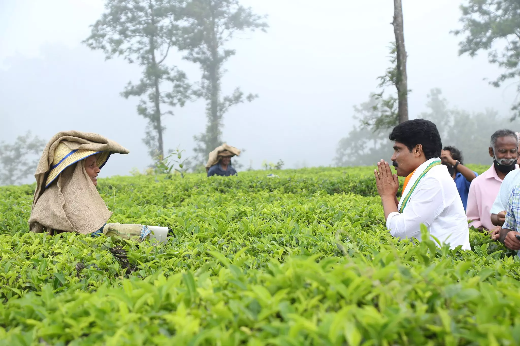 ശ്രേയാംസ്‍കുമാറിനെ തകര്‍ത്ത് ടി. സിദ്ദീഖ്; കല്‍പ്പറ്റയിലെ വിജയത്തിന് തിളക്കമേറെ