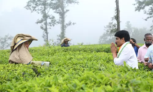 ശ്രേയാംസ്കുമാറിനെ തകര്ത്ത് ടി. സിദ്ദീഖ്; കല്പ്പറ്റയിലെ വിജയത്തിന് തിളക്കമേറെ ശ്രേയാംസ്കുമാറിനെ തകര്ത്ത് ടി. സിദ്ദീഖ്; കല്പ്പറ്റയിലെ വിജയത്തിന് തിളക്കമേറെ