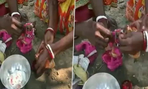 മഴദേവനെ പ്രീതിപ്പെടുത്താൻ ത്രിപുരയിൽ തവളകളുടെ കല്യാണം; വൈറൽ വീഡിയോ കാണാം മഴദേവനെ പ്രീതിപ്പെടുത്താൻ ത്രിപുരയിൽ തവളകളുടെ കല്യാണം; വൈറൽ വീഡിയോ കാണാം