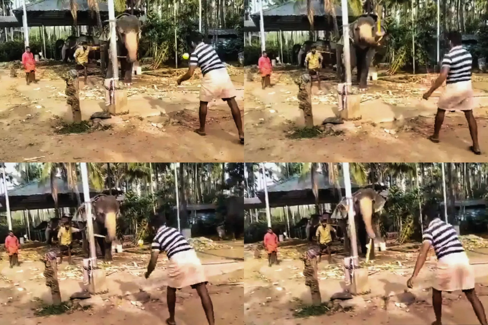 ബ്രില്യന്റ് ഷോട്ട് ! ആന കളിക്കാരനെ ഏറ്റെടുത്ത് സോഷ്യല് മീഡിയ ബ്രില്യന്റ് ഷോട്ട് ! ആന കളിക്കാരനെ ഏറ്റെടുത്ത് സോഷ്യല് മീഡിയ