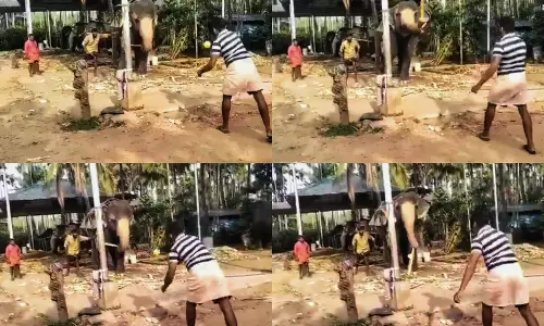 ബ്രില്യന്റ് ഷോട്ട് ! ആന കളിക്കാരനെ ഏറ്റെടുത്ത് സോഷ്യല് മീഡിയ ബ്രില്യന്റ് ഷോട്ട് ! ആന കളിക്കാരനെ ഏറ്റെടുത്ത് സോഷ്യല് മീഡിയ