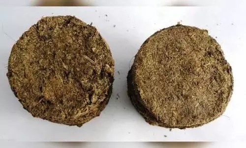 അമേരിക്കയിലെത്തിയ ഇന്ത്യക്കാരന്‍റെ ബാഗില്‍ ചാണകം; വിമാനത്താവള അധികൃതര്‍ ബാഗ് നശിപ്പിച്ചു