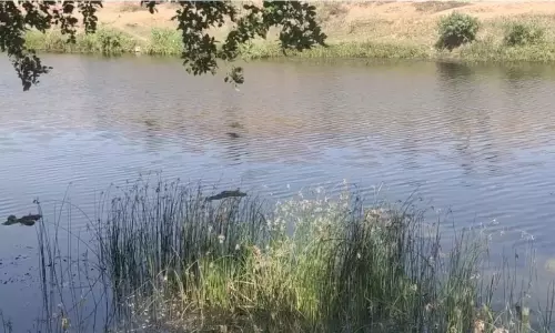 മധ്യപ്രദേശിലും നദിയില്‍ നിന്ന് മൃതശരീരങ്ങള്‍ കണ്ടെടുത്തു