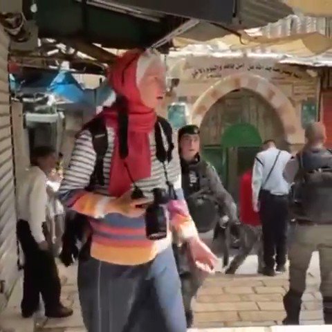 മുളകുസ്പ്രേ തളിച്ചു, വളഞ്ഞിട്ടു മർദിച്ചു, തട്ടം അഴിപ്പിച്ചു; ഫലസ്തീൻ മാധ്യമപ്രവർത്തകയ്ക്കുനേരെ ഇസ്രായേൽ പൊലീസിന്റെ അഴിഞ്ഞാട്ടം