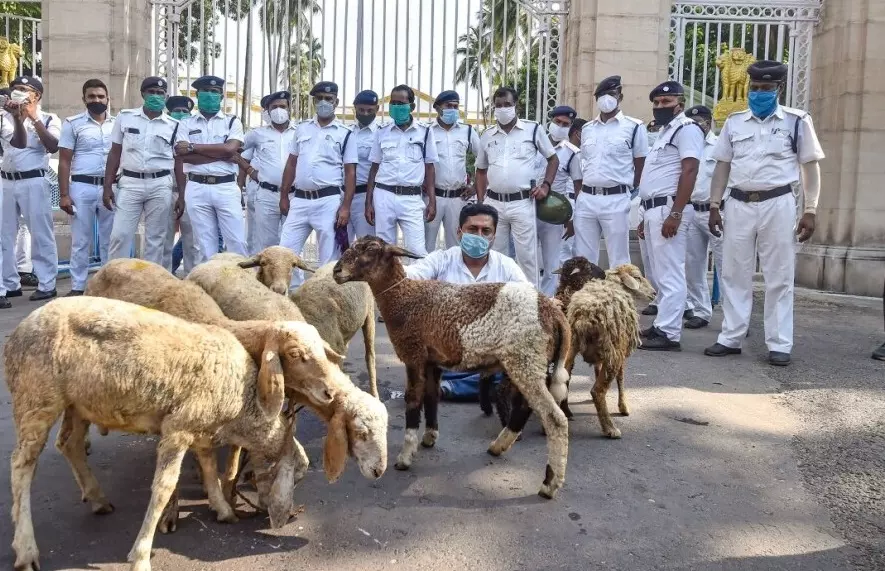 ആടുകളുമായി രാജ്ഭവനു മുന്നില് പ്രതിഷേധം; പൊലീസിനോട് വിശദീകരണം തേടി ബംഗാള് ഗവര്ണര് ആടുകളുമായി രാജ്ഭവനു മുന്നില് പ്രതിഷേധം; പൊലീസിനോട് വിശദീകരണം തേടി ബംഗാള് ഗവര്ണര്