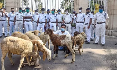 ആടുകളുമായി രാജ്ഭവനു മുന്നില്‍ പ്രതിഷേധം; പൊലീസിനോട് വിശദീകരണം തേടി ബംഗാള്‍ ഗവര്‍ണര്‍