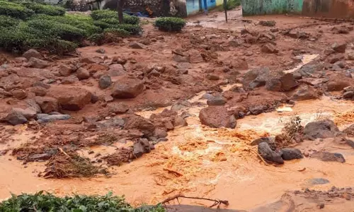 പത്തനംതിട്ട മൂഴിയാറിൽ ഉരുൾപൊട്ടൽ