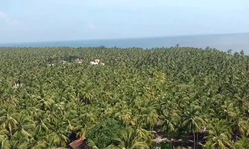 ലക്ഷദ്വീപില്‍ ഭൂമിയുടെ പാട്ടത്തുക കുറച്ചു; വന്‍കിട കുത്തകകള്‍ക്ക് വഴിയൊരുക്കാനെന്ന് ആക്ഷേപം