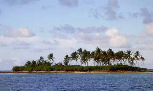 ലക്ഷദ്വീപിലേക്കുള്ള സംഘ് - കോർപ്പറേറ്റ് കടന്നുകയറ്റങ്ങൾക്ക് എതിരെ പാട്ട് കൊണ്ട് പ്രതിരോധം തീർത്ത് എം.ഇ.എസ് മമ്പാട് കോളേജ് വിദ്യാര്‍ഥികള്‍