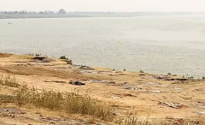 തെരുവു നായകൾ കടിച്ച് വലിക്കുന്ന മൃതദേഹങ്ങൾ: ഉത്തരേന്ത്യയിൽ നിന്നും വീണ്ടും ഭീകര ദൃശ്യങ്ങൾ