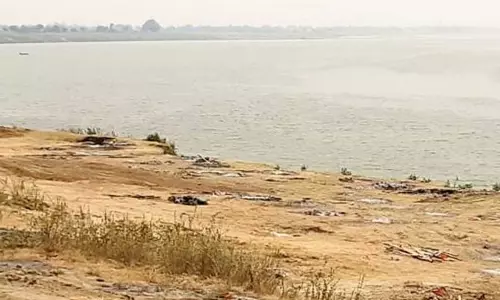 തെരുവു നായകൾ കടിച്ച് വലിക്കുന്ന മൃതദേഹങ്ങൾ: ഉത്തരേന്ത്യയിൽ നിന്നും വീണ്ടും ഭീകര ദൃശ്യങ്ങൾ