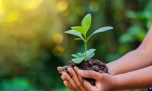 ഇന്ന് ലോകപരിസ്ഥിതി ദിനം