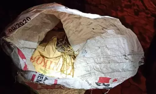 കൊല്‍ക്കത്തയിലെ ബി.ജെ.പി ഓഫീസിന്റെ സമീപത്ത് നിന്നും 50 ലേറെ ബോംബുകള്‍ കണ്ടെത്തി