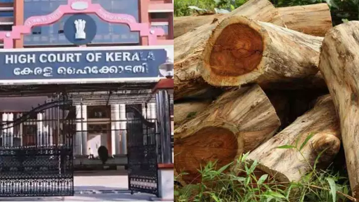 മുട്ടിൽ മരംകൊള്ള: പുറത്തുവന്നത് മഞ്ഞുമലയുടെ അറ്റം മാത്രമെന്ന് സർക്കാർ ഹൈക്കോടതിയിൽ, അന്വേഷണത്തിന് സ്റ്റേ ഇല്ല മുട്ടിൽ മരംകൊള്ള: പുറത്തുവന്നത് മഞ്ഞുമലയുടെ അറ്റം മാത്രമെന്ന് സർക്കാർ ഹൈക്കോടതിയിൽ, അന്വേഷണത്തിന് സ്റ്റേ ഇല്ല