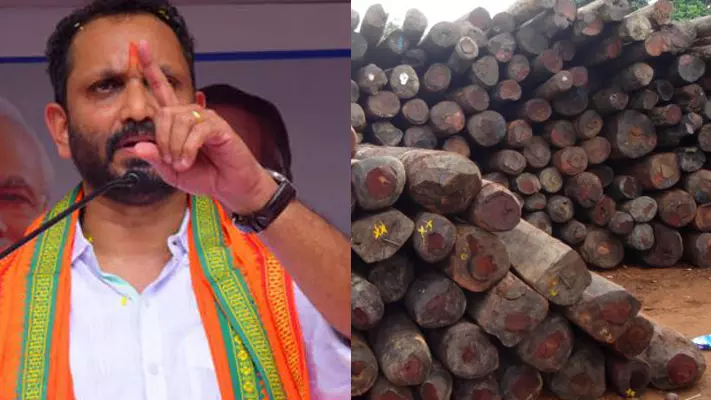 മുട്ടിൽ വനംകൊള്ള: സംസ്ഥാന സർക്കാറിനെതിരെ ആയുധമാക്കാൻ ബി.ജെ.പി മുട്ടിൽ വനംകൊള്ള: സംസ്ഥാന സർക്കാറിനെതിരെ ആയുധമാക്കാൻ ബി.ജെ.പി