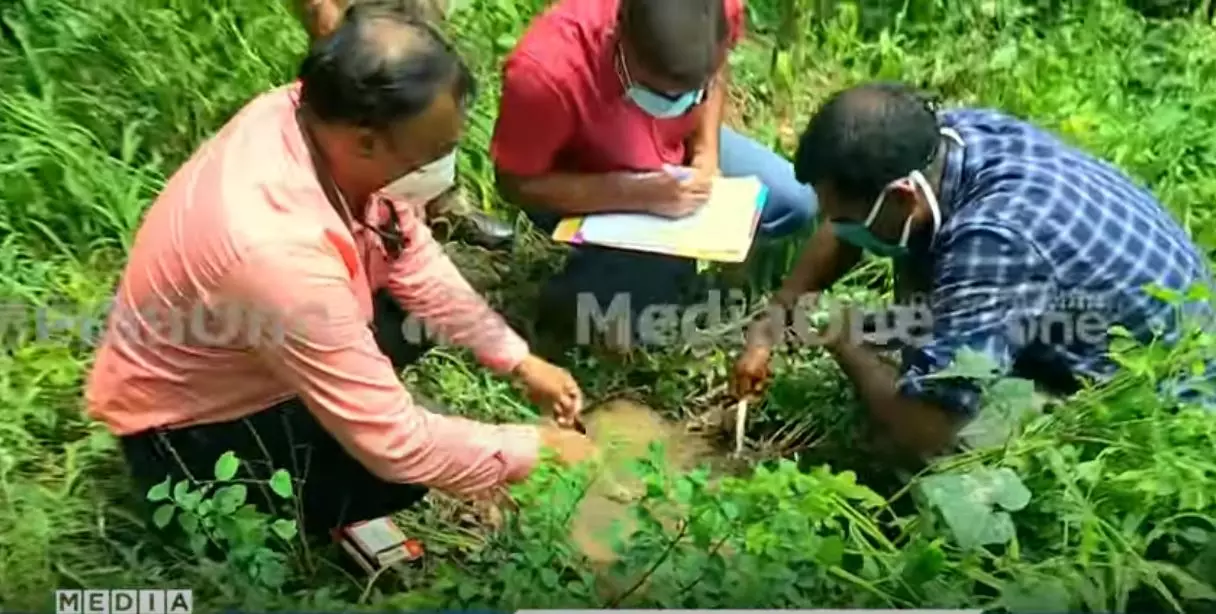 വൻതോതിൽ വീട്ടിമരങ്ങൾ മുറിച്ചു: മുട്ടിലിൽ മരം മുറിച്ച കരാർ തൊഴിലാളിയും കച്ചവടക്കാരനുമായുള്ള ഫോൺ സംഭാഷണം പുറത്ത് വൻതോതിൽ വീട്ടിമരങ്ങൾ മുറിച്ചു: മുട്ടിലിൽ മരം മുറിച്ച കരാർ തൊഴിലാളിയും കച്ചവടക്കാരനുമായുള്ള ഫോൺ സംഭാഷണം പുറത്ത്
