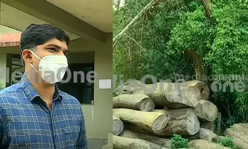 മുട്ടിൽ മരംകൊള്ള: പ്രധാന പ്രതികൾ ഒളിവിൽ, അന്വേഷണം അന്തിമ ഘട്ടത്തിലെന്നും അന്വേഷണ ഉദ്യോഗസ്ഥൻ