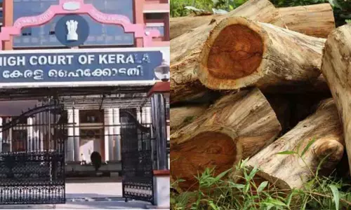 മുട്ടിൽ മരംകൊള്ള: പുറത്തുവന്നത് മഞ്ഞുമലയുടെ അറ്റം മാത്രമെന്ന് സർക്കാർ ഹൈക്കോടതിയിൽ, അന്വേഷണത്തിന് സ്റ്റേ ഇല്ല