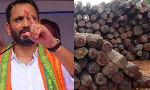 മുട്ടിൽ വനംകൊള്ള: സംസ്ഥാന സർക്കാറിനെതിരെ ആയുധമാക്കാൻ ബി.ജെ.പി