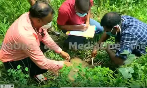 വൻതോതിൽ വീട്ടിമരങ്ങൾ മുറിച്ചു: മുട്ടിലിൽ മരം മുറിച്ച കരാർ തൊഴിലാളിയും കച്ചവടക്കാരനുമായുള്ള ഫോൺ സംഭാഷണം പുറത്ത്