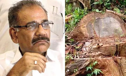 മുട്ടിൽ മരംമുറി: ഡി.എഫ്.ഒ ധനേഷ് കുമാറിനെ വീണ്ടും അന്വേഷണ സംഘത്തിൽ ഉൾപ്പെടുത്തി