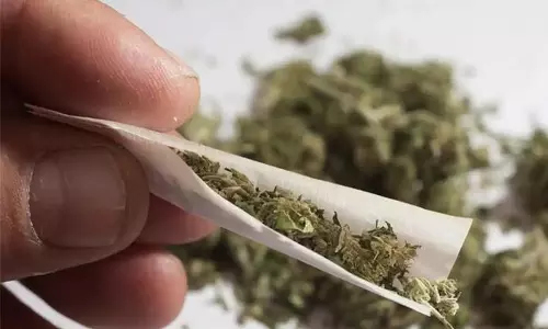 നാദാപുരത്ത് സ്വകാര്യബസിൽ കടത്തിയ 4 കിലോ കഞ്ചാവുമായി ഒരാള്‍ പിടിയിൽ