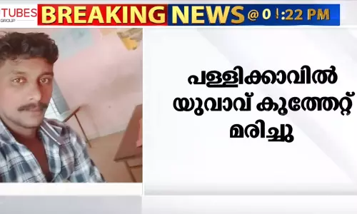 കൊല്ലം പള്ളിക്കാവിൽ യുവാവ് കുത്തേറ്റ് മരിച്ചു