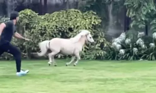 വെളുത്ത കുഞ്ഞന്‍ കുതിരക്ക് പിന്നില്‍ പാഞ്ഞ് ധോണി; ക്യാപ്റ്റന്‍ കൂളിന്‍റെ ഓട്ടം സോഷ്യല്‍ മീഡിയയില്‍ വൈറല്‍