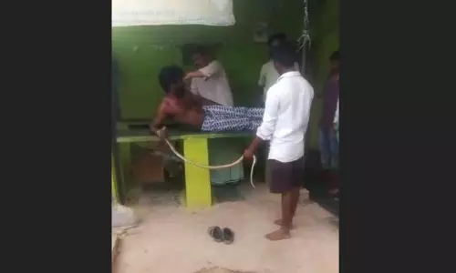 കടിച്ച മൂർഖന്റെ കഴുത്തിന് പിടിച്ച് യുവാവ് ആശുപത്രിയിൽ