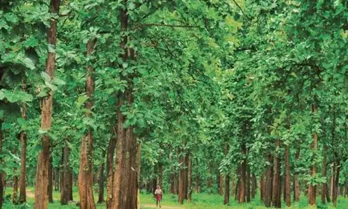 കൊല്ലം - പത്തനംതിട്ട അതിര്‍ത്തിയില്‍ ഉള്‍ക്കാട്ടില്‍ തീവ്രവാദക്യാമ്പ്  നടന്നെന്ന് സംശയം