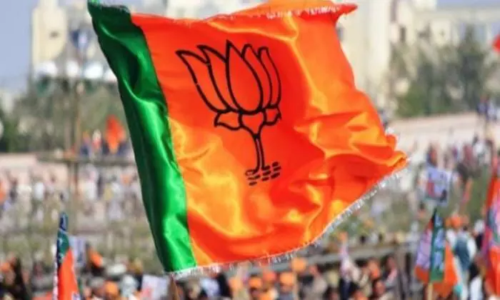 ബി.ജെ.പിക്ക് ആർ.എസ്.എസിന്റെ രൂ​ക്ഷ വിമര്‍ശനം; ‌‌നിയമസഭ തെരഞ്ഞെടുപ്പിലെ ഏകോപനത്തില്‍ വീഴ്ചപറ്റി