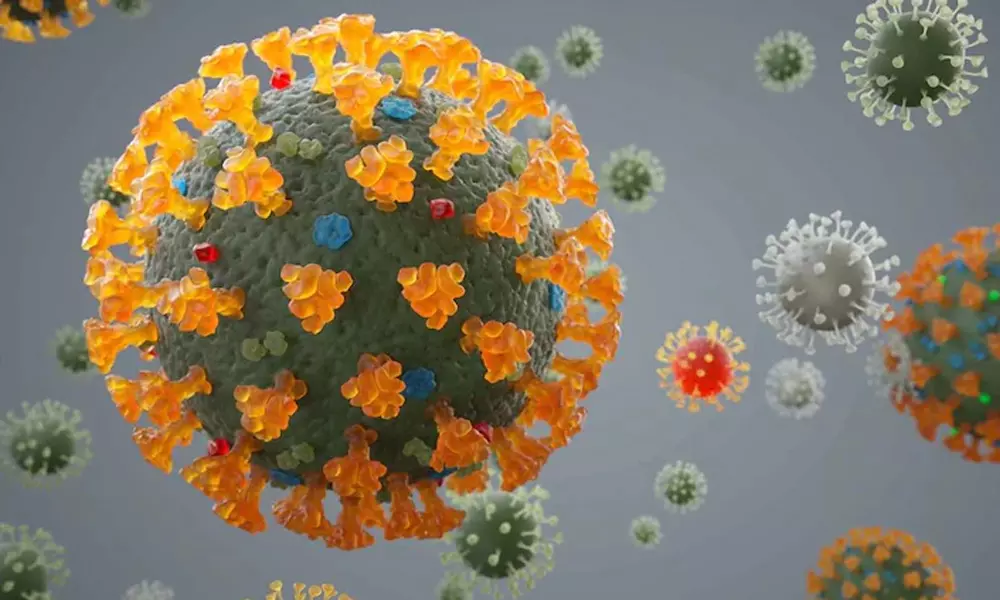 ആൽഫ, ബീറ്റ, ഗാമ, ഡെൽറ്റ, കാപ്പ...എങ്ങനെയാണ് കൊറോണ വകഭേദങ്ങള്ക്ക് പേരിടുന്നത്? ആൽഫ, ബീറ്റ, ഗാമ, ഡെൽറ്റ, കാപ്പ...എങ്ങനെയാണ് കൊറോണ വകഭേദങ്ങള്ക്ക് പേരിടുന്നത്?