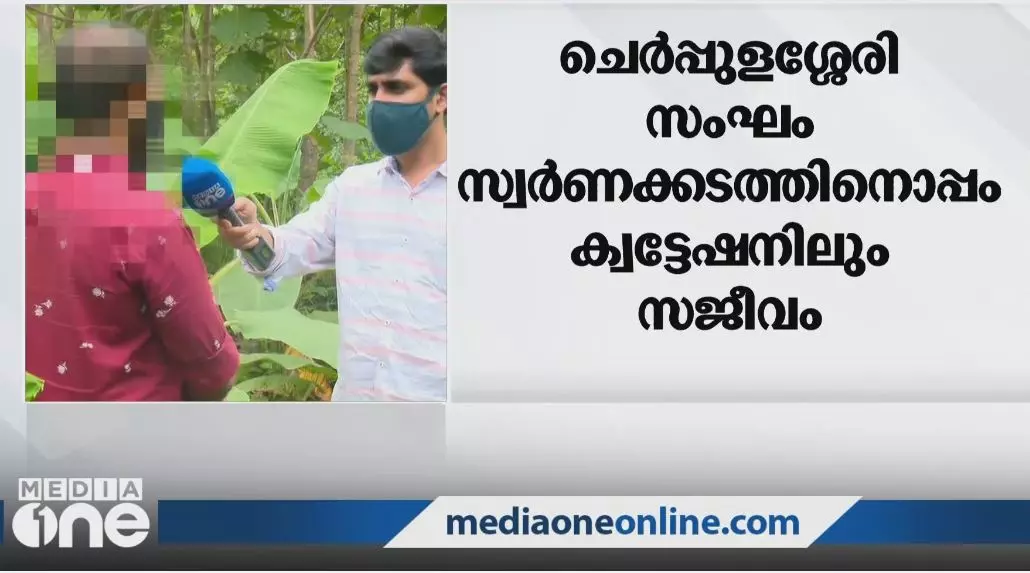 ഇരുമ്പുവടി കൊണ്ട് മര്‍ദിച്ചു, കാര്‍ തട്ടിക്കൊണ്ടുപോയി: ചെര്‍പ്പുളശ്ശേരിയിലെ സ്വര്‍ണക്കടത്ത് സംഘത്തെ കുറിച്ച് യുവാവ്