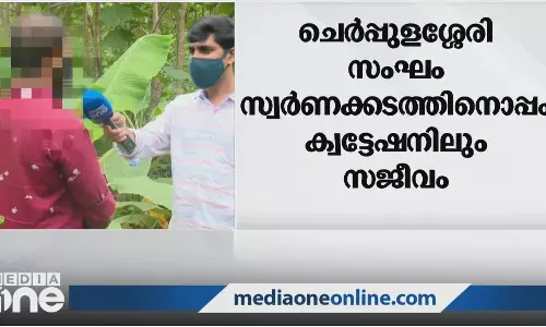 ഇരുമ്പുവടി കൊണ്ട് മര്‍ദിച്ചു, കാര്‍ തട്ടിക്കൊണ്ടുപോയി: ചെര്‍പ്പുളശ്ശേരിയിലെ സ്വര്‍ണക്കടത്ത് സംഘത്തെ കുറിച്ച് യുവാവ്