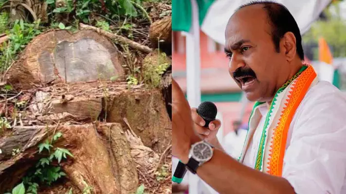 മുൻവനം മന്ത്രിയുടെ സ്റ്റാഫിന് വനംകൊള്ളക്കാരുമായി എന്താണ് ബന്ധമെന്ന് പ്രതിപക്ഷ നേതാവ്‌