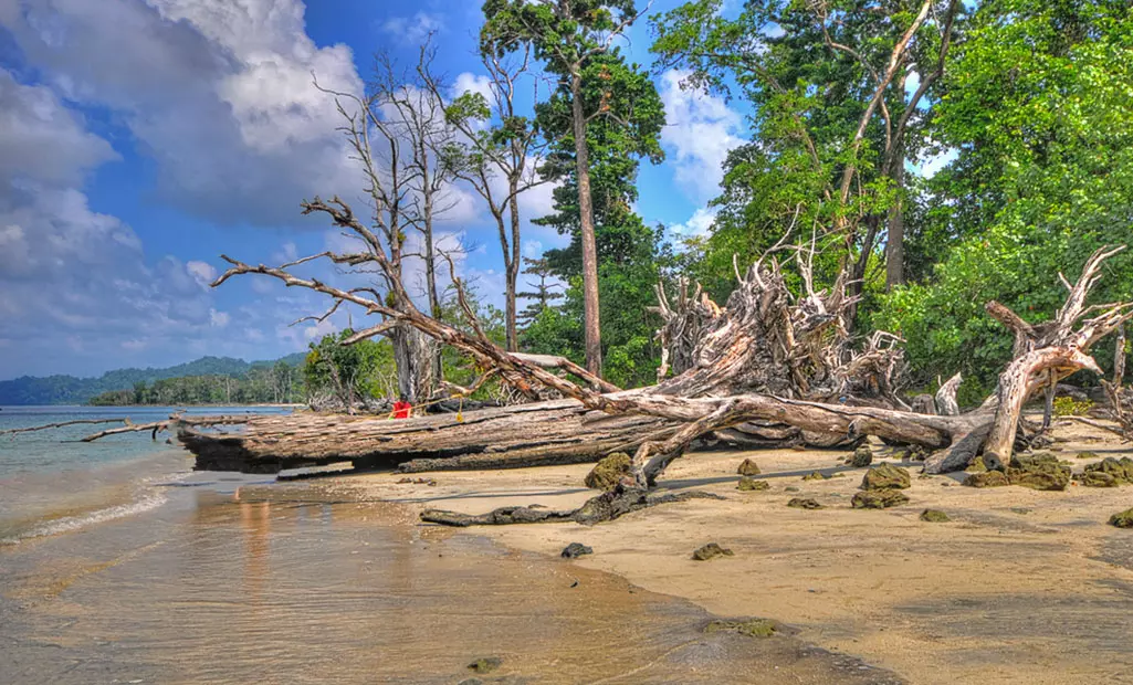 മത്സ്യത്തൊഴിലാളികളുടെ ഷെഡുകള് പൊളിച്ചുനീക്കണം: ലക്ഷദ്വീപില് വീണ്ടും വിവാദ ഉത്തരവ് മത്സ്യത്തൊഴിലാളികളുടെ ഷെഡുകള് പൊളിച്ചുനീക്കണം: ലക്ഷദ്വീപില് വീണ്ടും വിവാദ ഉത്തരവ്