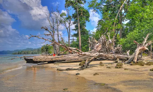 മത്സ്യത്തൊഴിലാളികളുടെ ഷെഡുകള്‍ പൊളിച്ചുനീക്കണം: ലക്ഷദ്വീപില്‍ വീണ്ടും വിവാദ ഉത്തരവ്