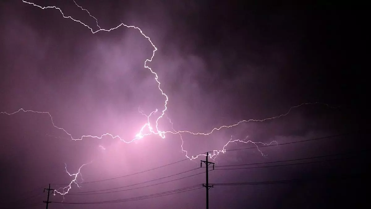 മൊബൈല് സിഗ്നലിനായി മരത്തില് കയറിയ ബാലന് മിന്നലേറ്റ് മരിച്ചു മൊബൈല് സിഗ്നലിനായി മരത്തില് കയറിയ ബാലന് മിന്നലേറ്റ് മരിച്ചു