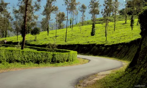 മല, മഞ്ഞ്, മലമുഴക്കി വേഴാമ്പല്: ഒരടിപൊളി യാത്ര പോയിവരാം മല, മഞ്ഞ്, മലമുഴക്കി വേഴാമ്പല്: ഒരടിപൊളി യാത്ര പോയിവരാം