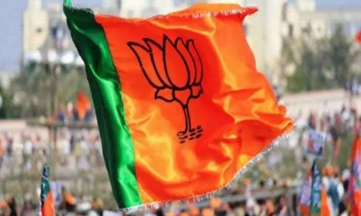 പരാജയം പഠിക്കാന്‍ ബിജെപി നേതാക്കള്‍ താഴെ തട്ടിലേക്ക്