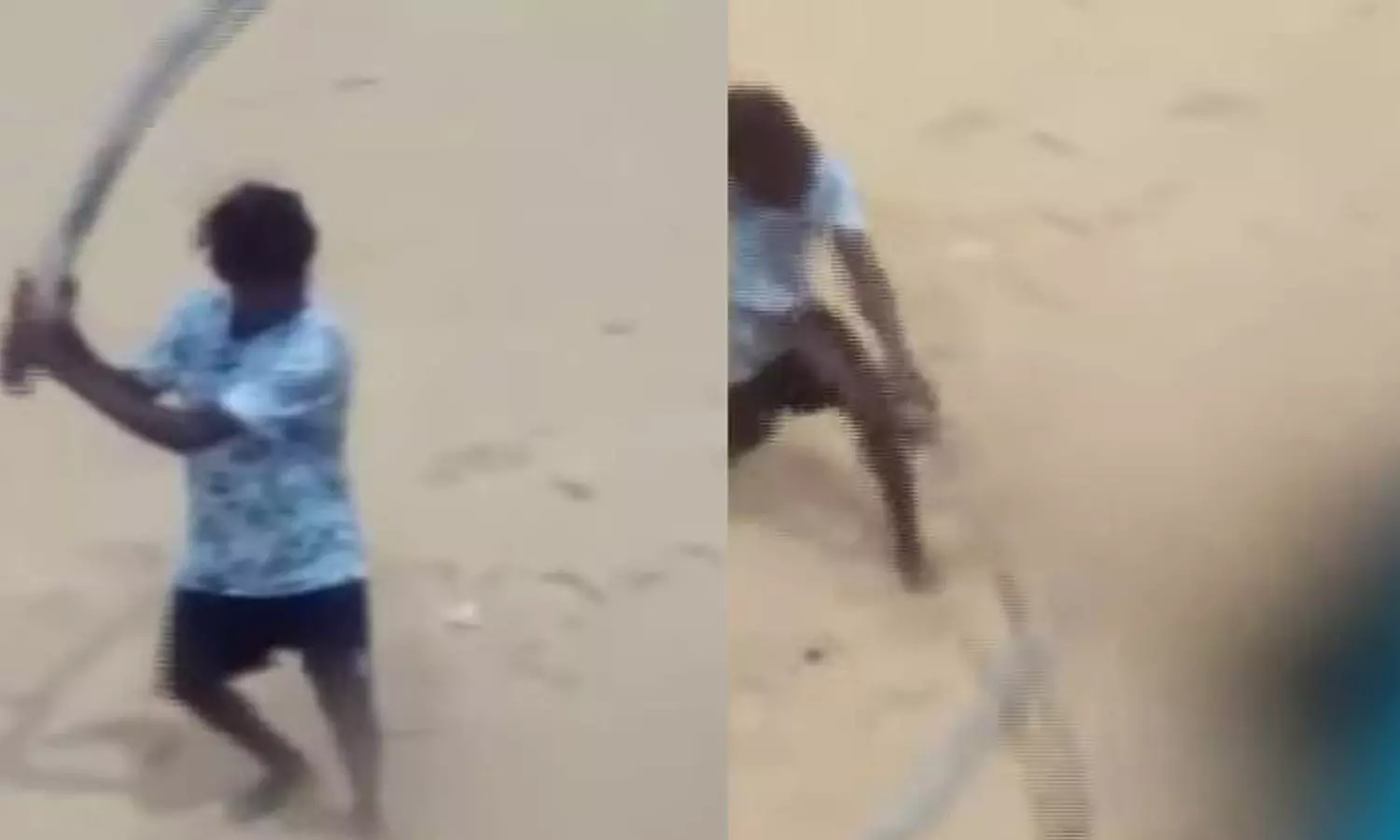 വളര്ത്തുനായയെ തല്ലിക്കൊന്ന സംഭവം: ഹൈക്കോടതി സ്വമേധയാ കേസെടുത്തു വളര്ത്തുനായയെ തല്ലിക്കൊന്ന സംഭവം: ഹൈക്കോടതി സ്വമേധയാ കേസെടുത്തു