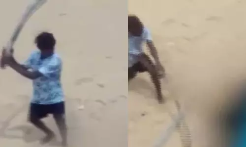 വളര്ത്തുനായയെ തല്ലിക്കൊന്ന സംഭവം: ഹൈക്കോടതി സ്വമേധയാ കേസെടുത്തു വളര്ത്തുനായയെ തല്ലിക്കൊന്ന സംഭവം: ഹൈക്കോടതി സ്വമേധയാ കേസെടുത്തു